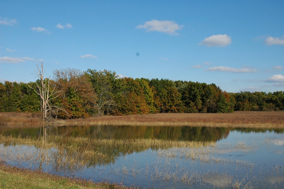 Refuge wetlands scenic