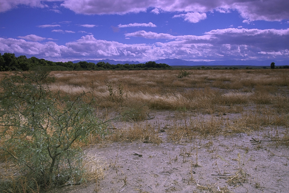 Scenery from San Berdnardino National Wildlife Refuge