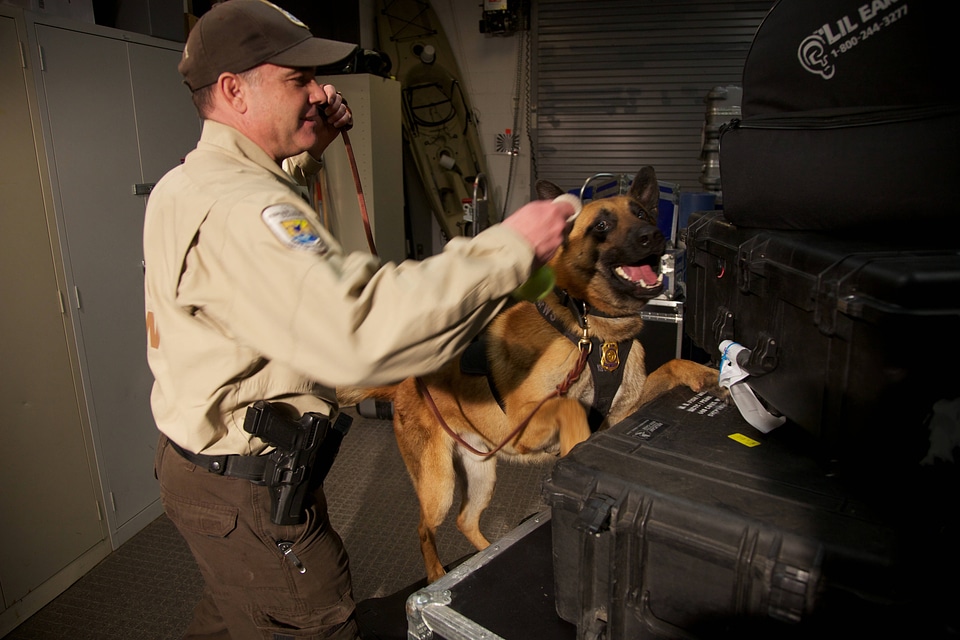 Law enforcement with K-9-1