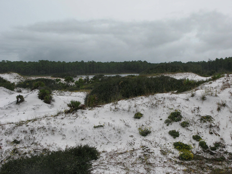 Dunes at Deer Lake State Park