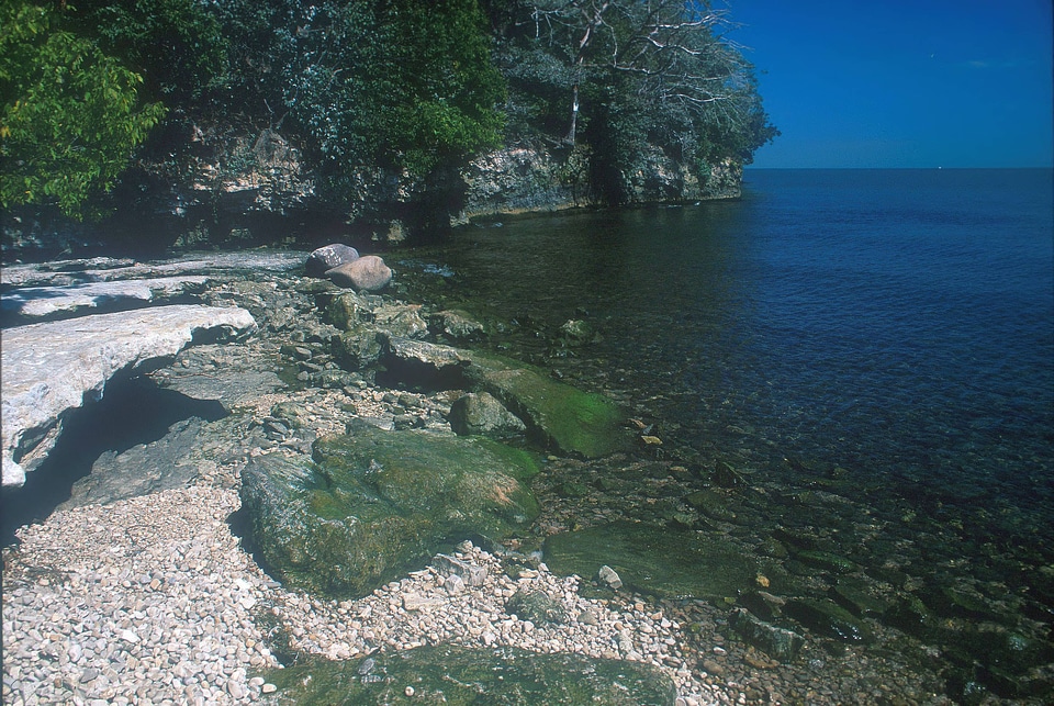 West Sister Island National Wildlife Refuge shoreline