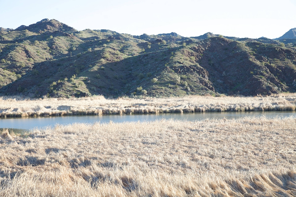 Scenic view of Bill Williams River-1