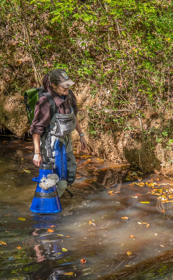FWS mussel biologist, Morgan Wolf, releases endangered Carolina Heelsplitter-1