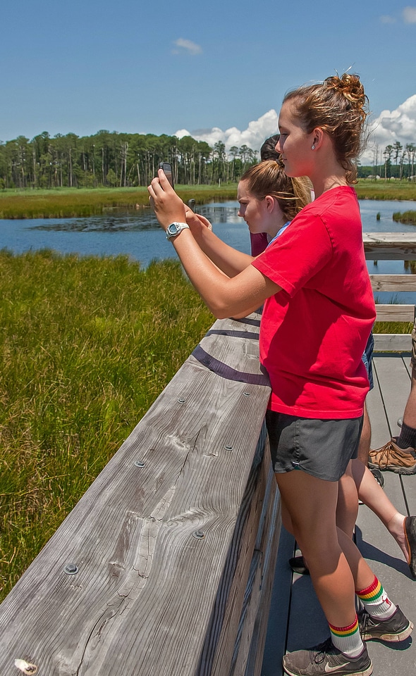 Girl takes cell phone picture of wetland