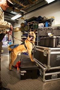 Law enforcement with K-9-2