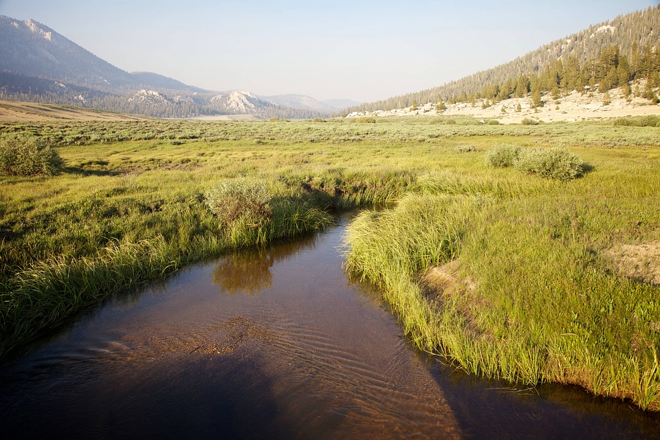 Stream through Sierra Nevada high alpine meadow-1