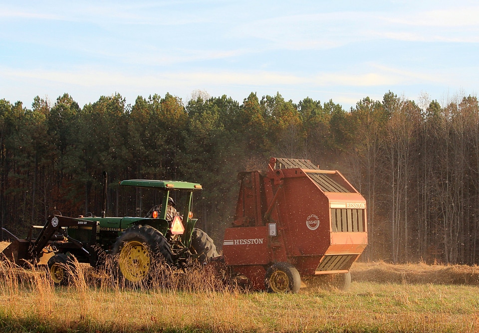 Farming making hay chaff