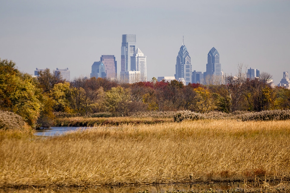 John Heinz National Wildlife Refuge with city skyline in background