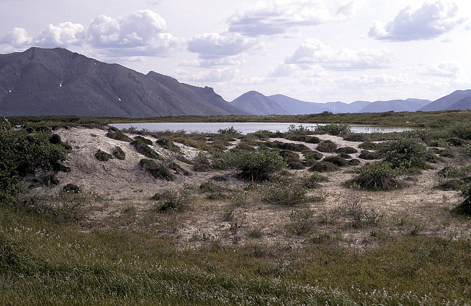Mud flow area in Summer