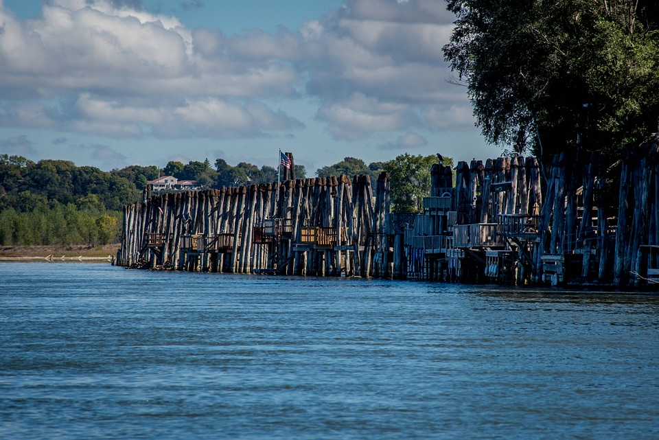 Old wooden pilings along Missouri River near Yankton, South Dakota-1