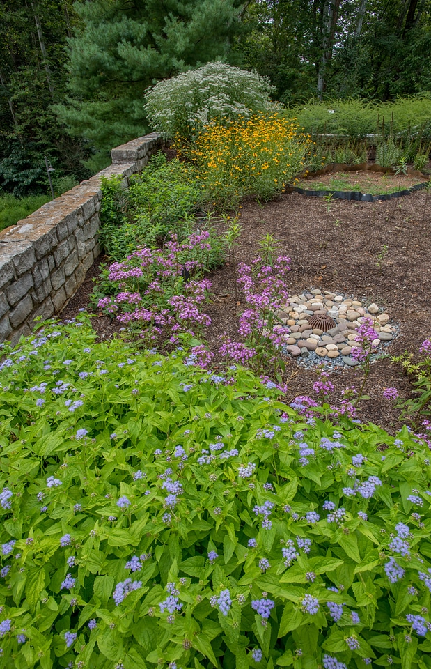 Monarch Waystation Garden-2