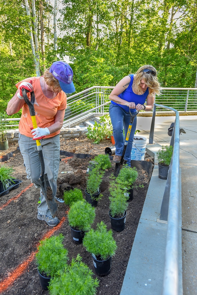 Volunteers planting a monarch garden-1
