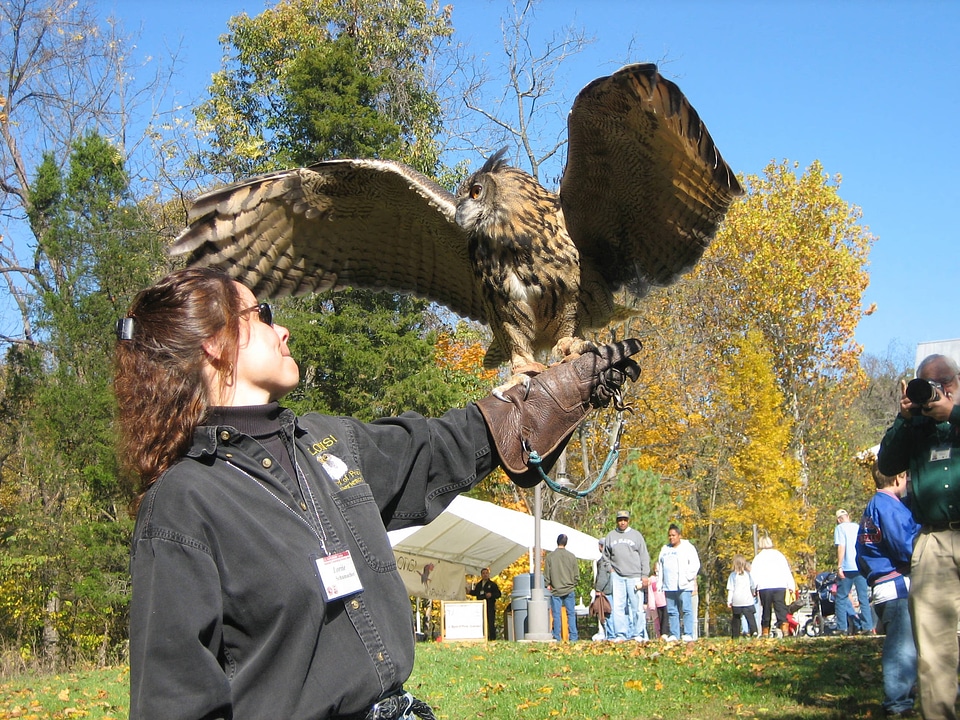 Master Falconer with Owl-1