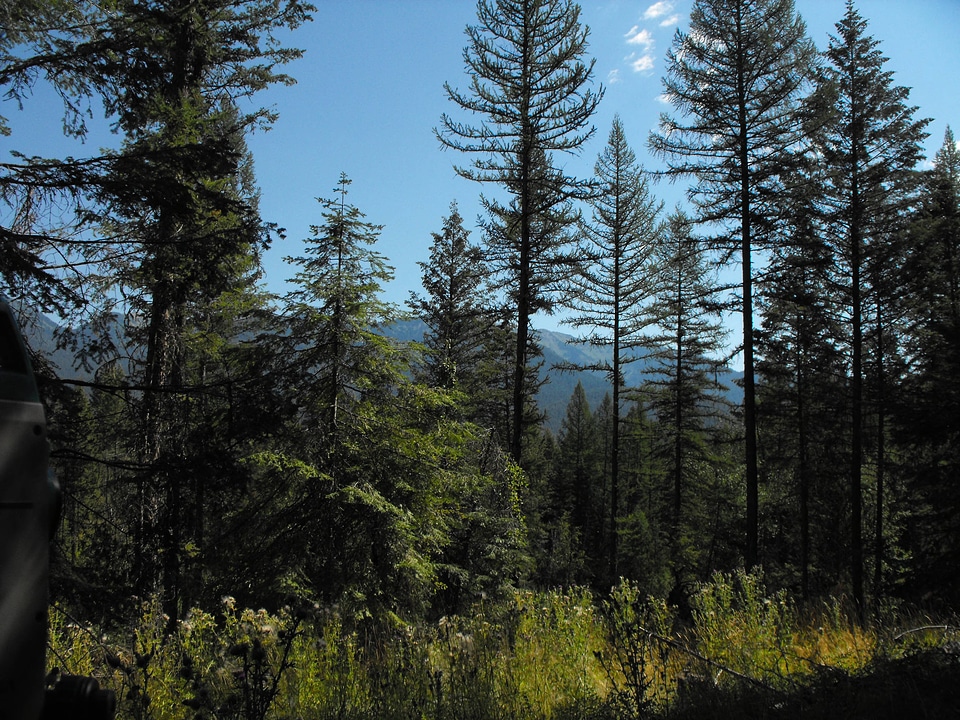 Swan Range at Creston National Fish Hatchery