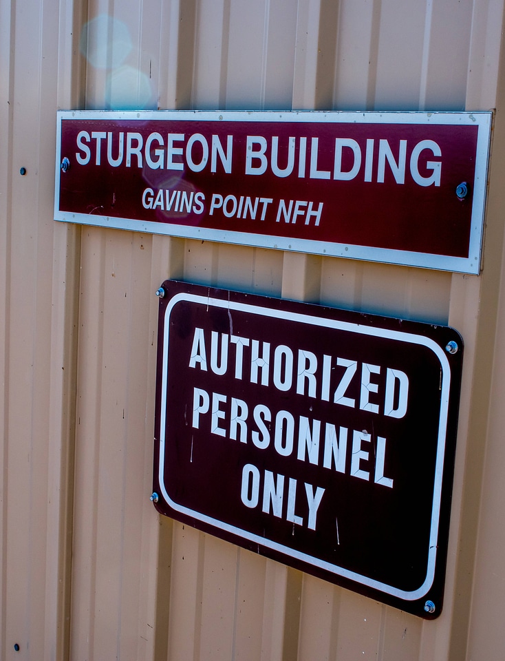 Sturgeon Building sign