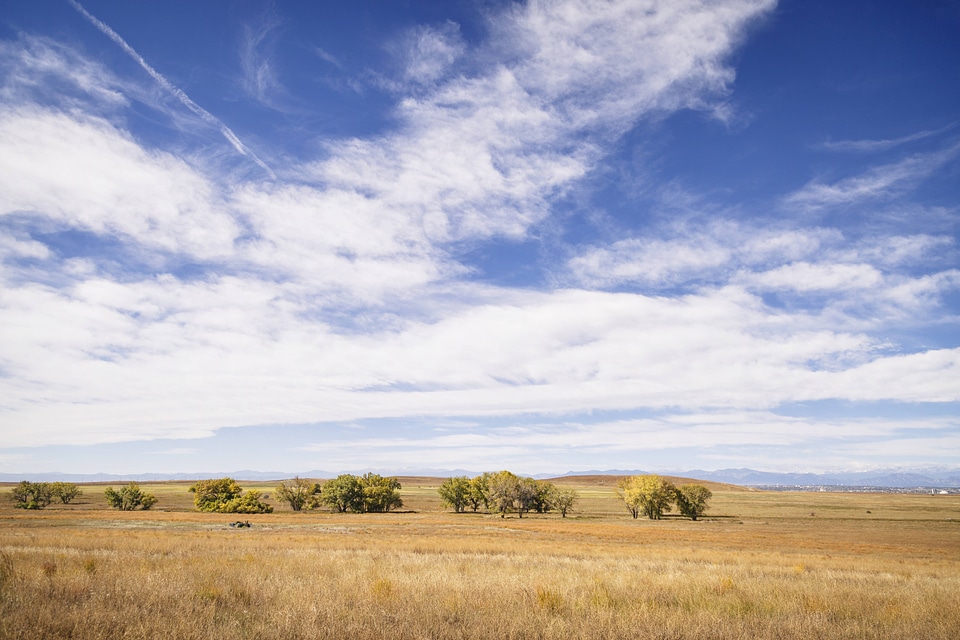 Rocky Mountain Arsenal National Wildlife Refuge