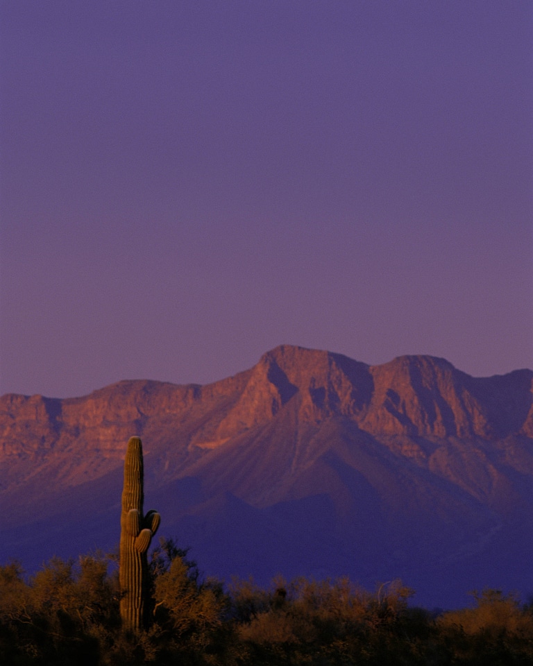 Cabeza Prieta National Wildlife Refuge, Arizona