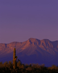 Cabeza Prieta National Wildlife Refuge, Arizona photo
