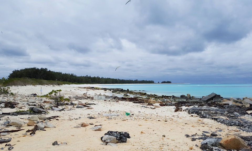 Debris on Sand Island