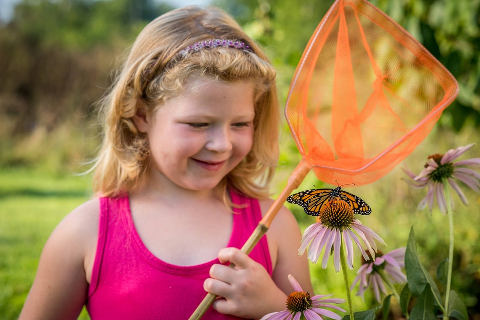 Little girl ready to net monarch