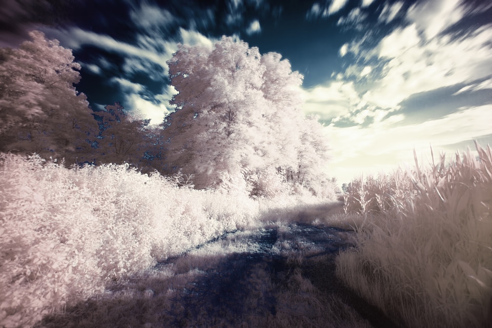 Filter landscape surreal
