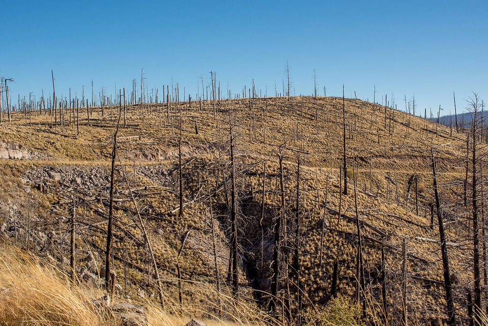 Area of Gila National Forest burned by Whitewater Baldy fire of 2012-5