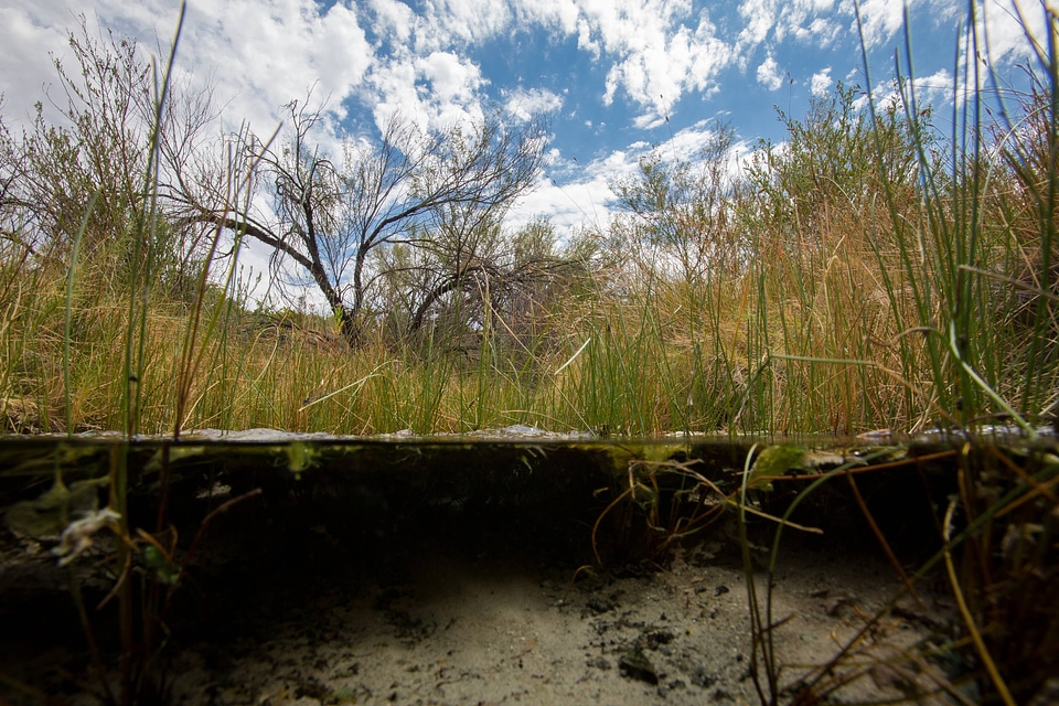 North Scruggs stream at Ash Meadows NWR-3
