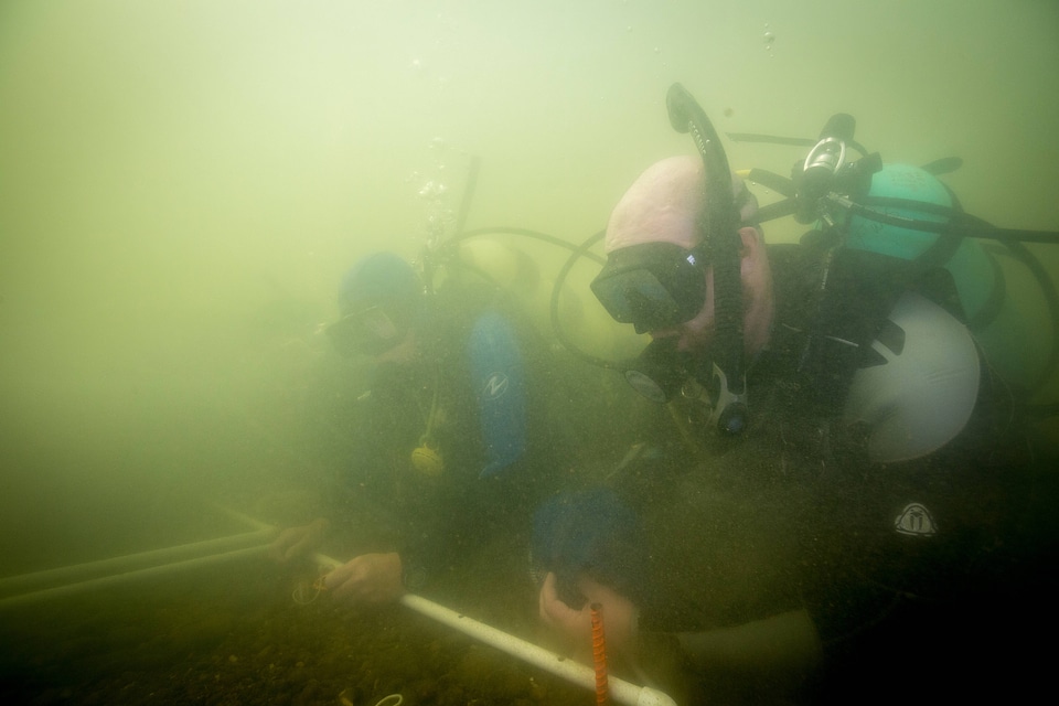 Divers looking for mussels