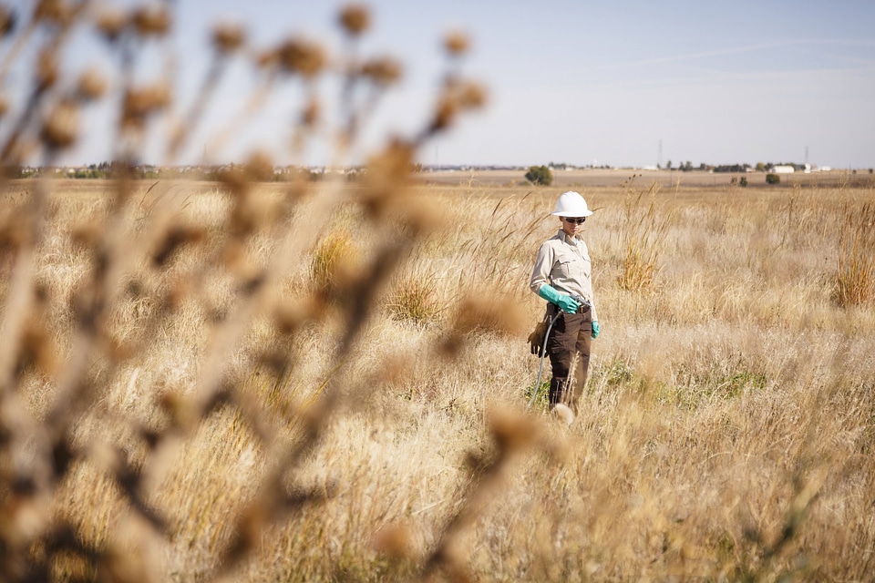 Employee spraying invasive plants-3