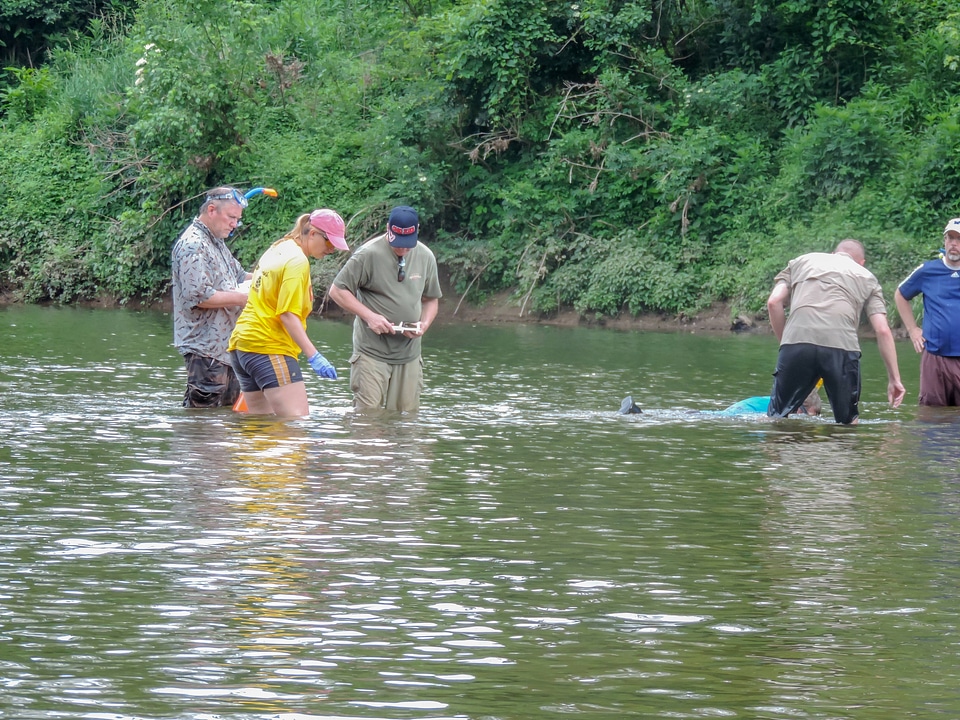 Students surveying freshwater mussels-2
