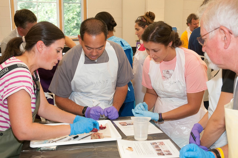 Marine Mammal Stranding Course at NCTC-2