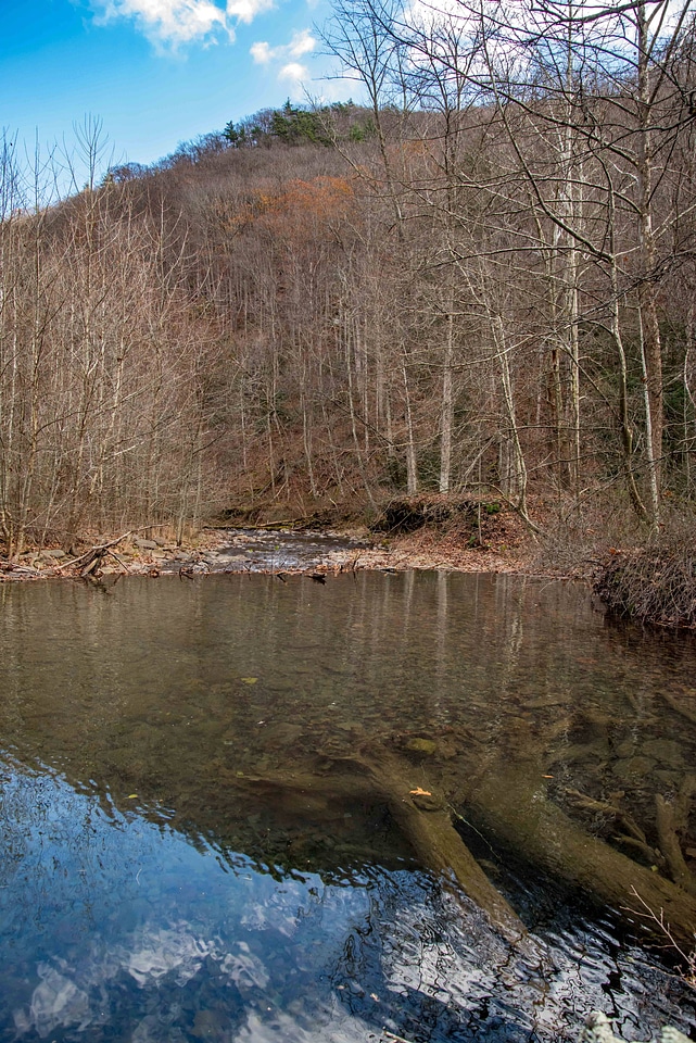 Brook trout pond with beaver dam-2