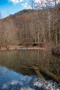 Brook trout pond with beaver dam-2