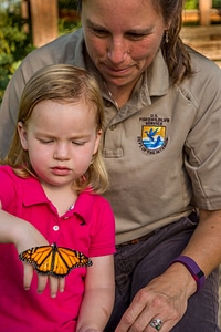 Monarch on hand of little girl-1