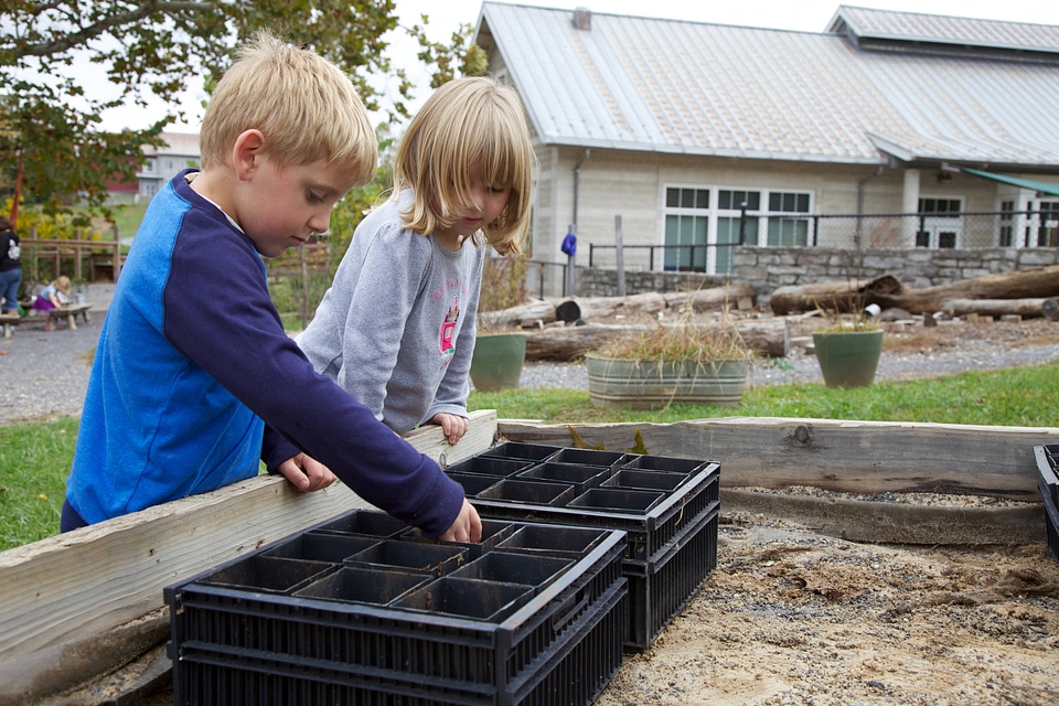 Children planting acorns-3