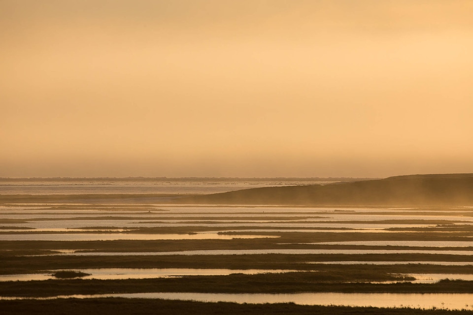Midnight Sun Wetlands on the Arctic Coastal Plain