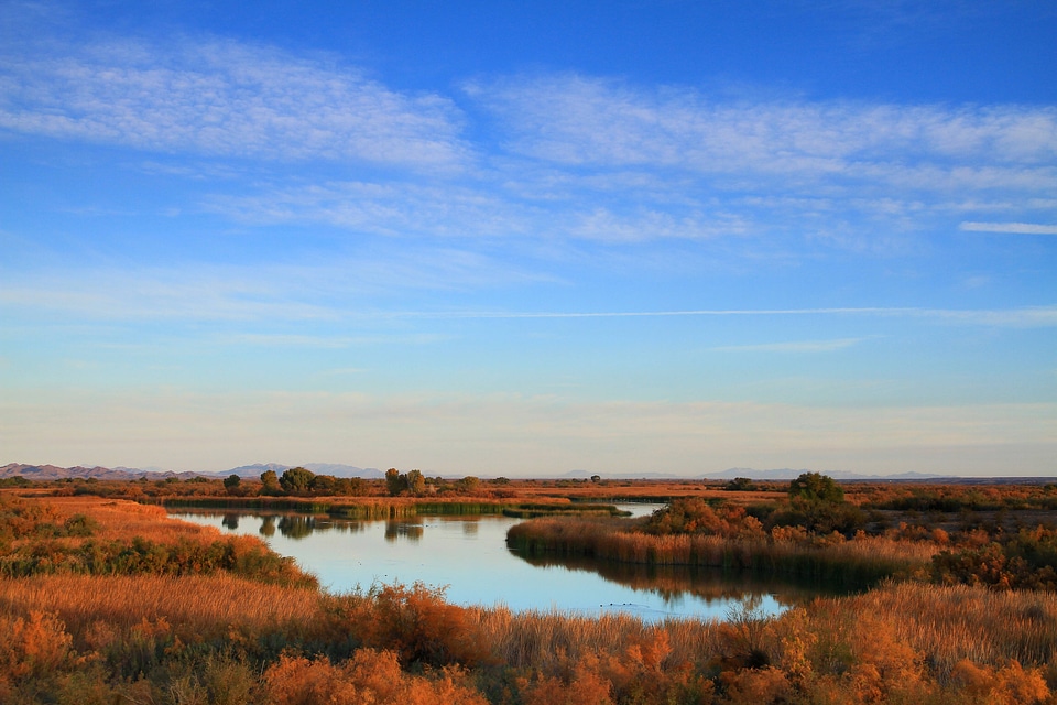 Cibola National Wildlife Refuge-1