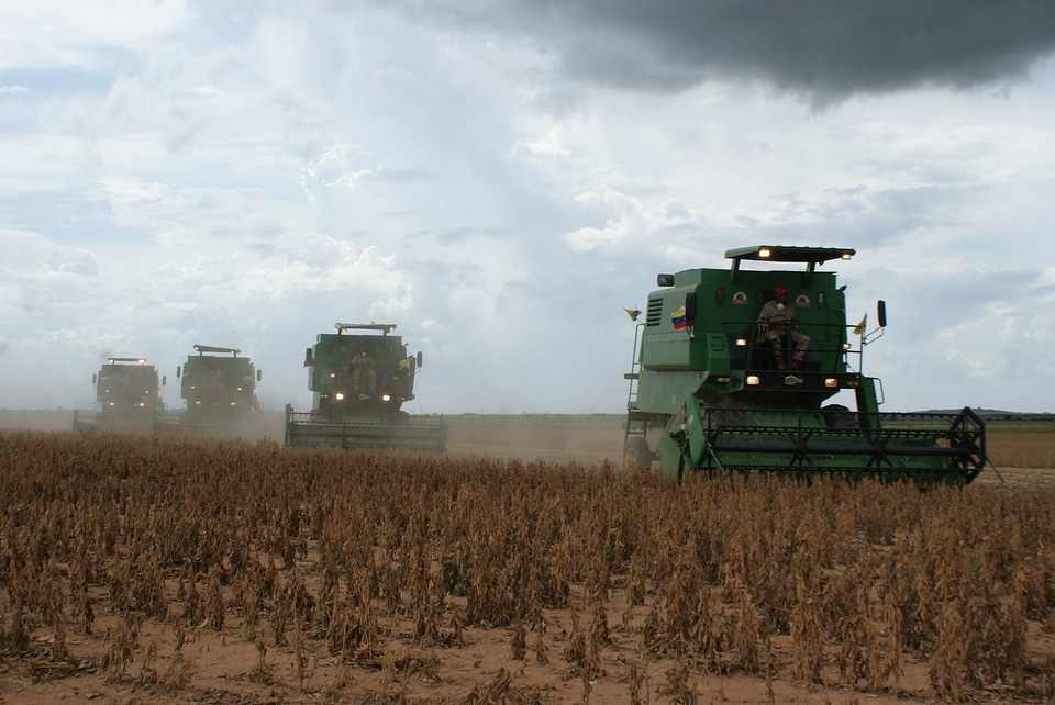 Soy landscape agriculture