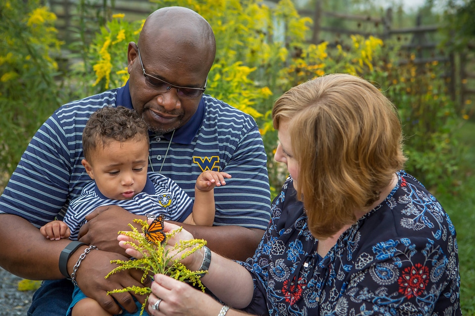 Family with monarch butterfly on goldenrod flowers-3