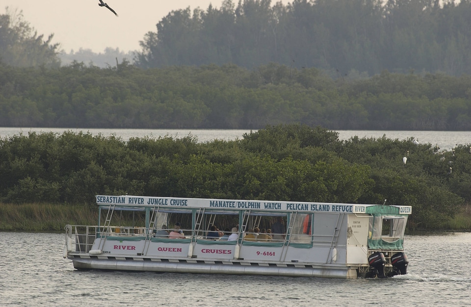 Boat tour on Sebastian River Jungle Cruise