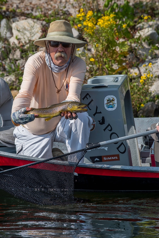 Angler with Brown trout on White River-1