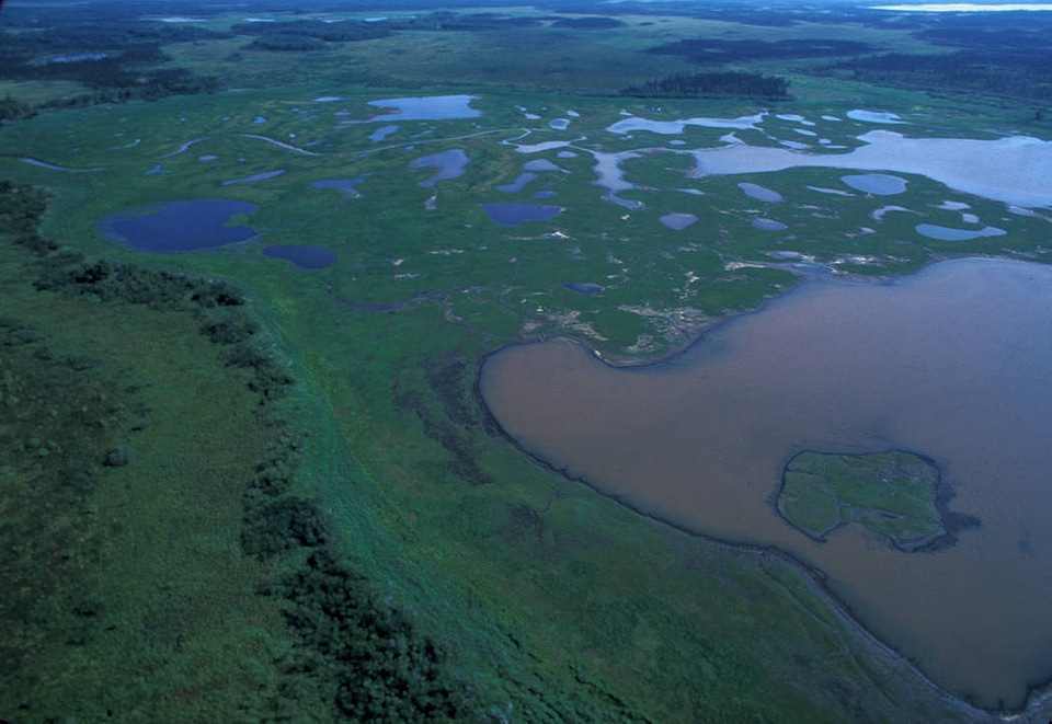 Mud River aerial view