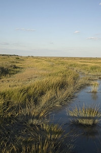 Channels surrounding the Wildlife Drive