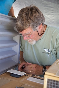Nihoa Millerbird Translocation-1