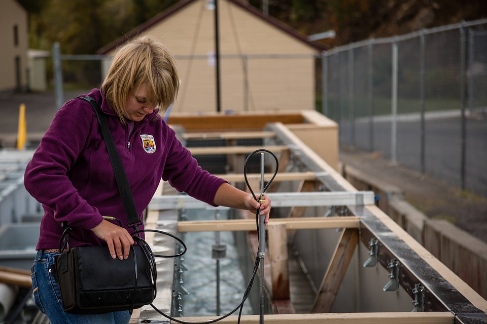Biologist measures water velocity in a flume-1