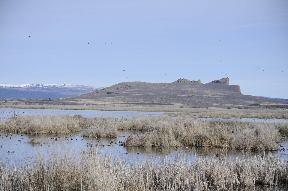 Wetlands on Tule Lake National Wildlife Refuge