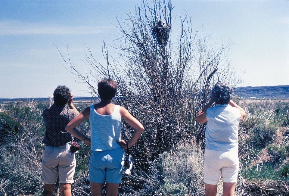 Owl viewing at Malheur National Wildlife Refuge