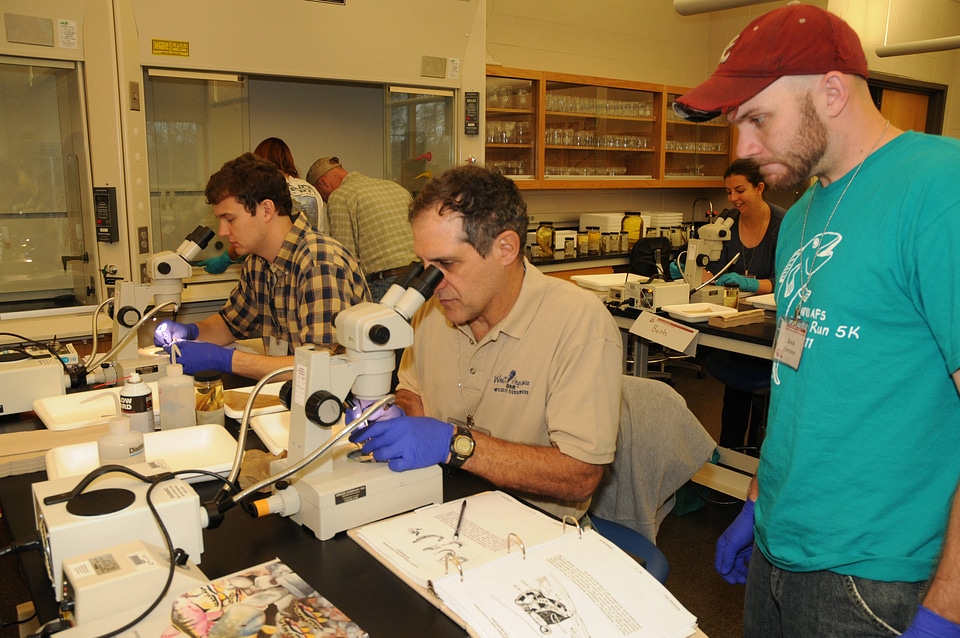 Students in the classroom lab-3