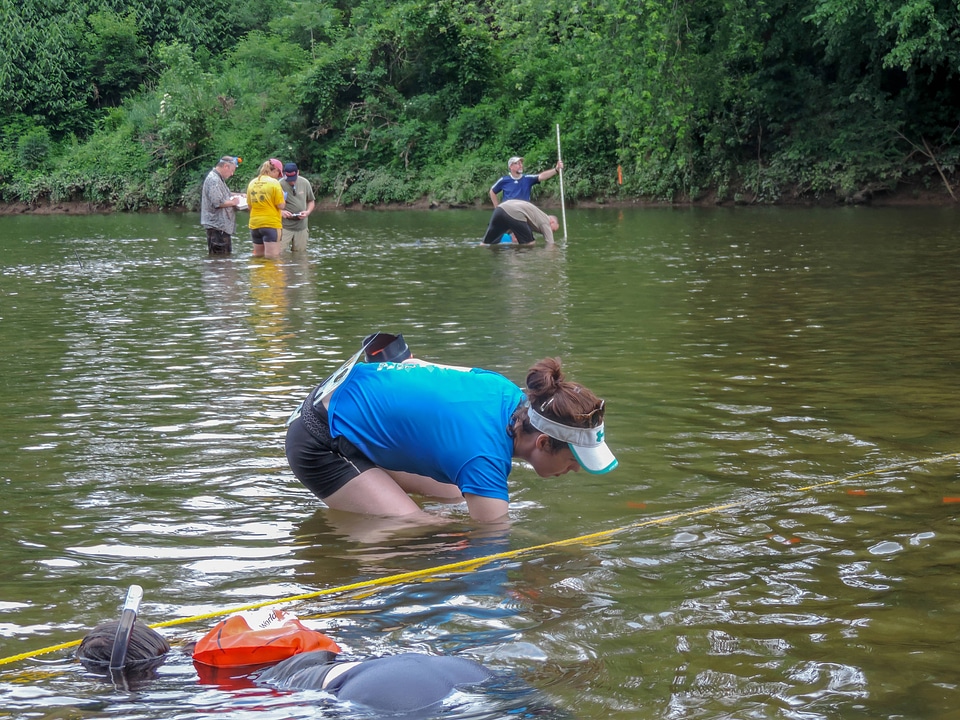 Students surveying freshwater mussels-1