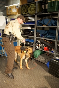 Law enforcement with K-9-1